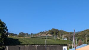 pxl_20251108_0200513023302706504039961326