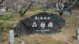 pxl_20260315_0230223088125311410375983432